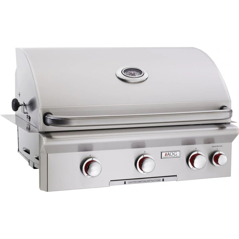 American Outdoor Grill 30-Inch T-Series Built-In Grill With Rotisserie Backburner - Patioscape Outdoors