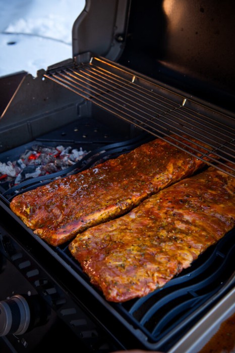 Napoleon Cast Iron Charcoal and Smoker Tray - 67732 - Patioscape Outdoors