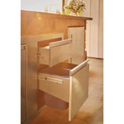 Napoleon BI-4224-1D1W - 42" x 24" Large Door & Waste Bin Drawer Combo - Patioscape Outdoors