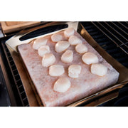 Napoleon 70025 Himalayan Salt Block with Stainless Steel Topper - Patioscape Outdoors