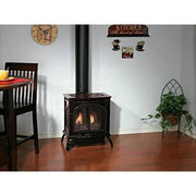Empire Small Spirit Direct Vent Gas Stove - 21" - Patioscape Outdoors