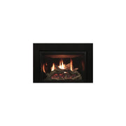 Empire 30" Rushmore Direct Vent Gas Insert - Medium - Patioscape Outdoors
