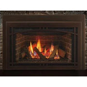 Majestic Ruby Medium Direct Vent Gas Fireplace Insert - 30" - Patioscape Outdoors