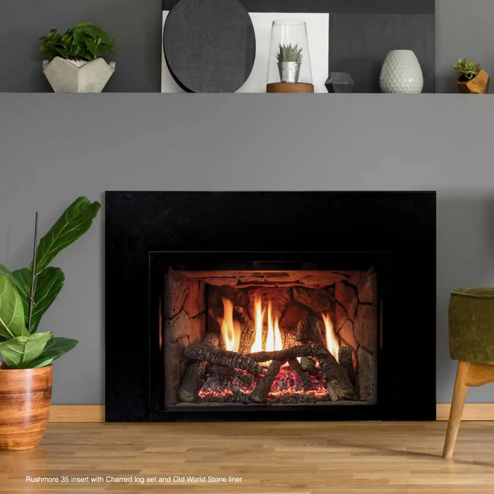 Empire 30" Rushmore Direct Vent Gas Insert - Medium