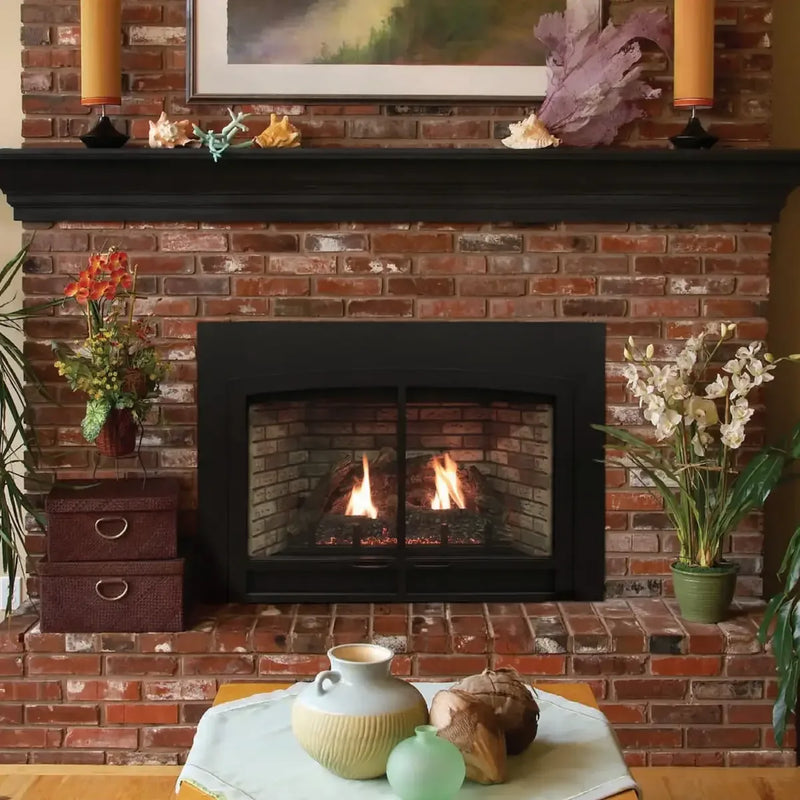 Empire Large Innsbrook Direct Vent Insert - 28" - Patioscape Outdoors