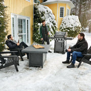 Napoleon F365DSBPGT-ECP Freestyle 365 SB with Range Side Burner - Patioscape Outdoors