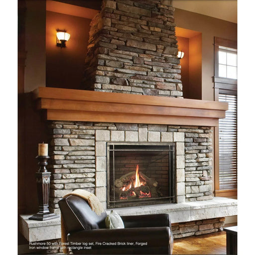 Empire 50" Rushmore Clean-Face Direct Vent Fireplace - Patioscape Outdoors